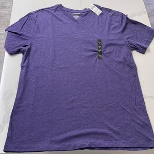 NWT! Mens Banana Republic V-Neck T. Large